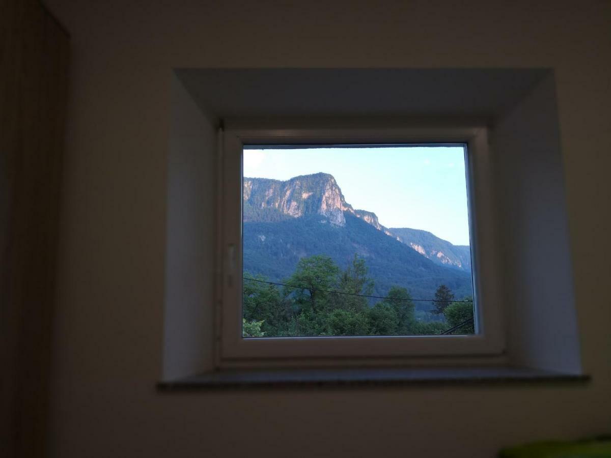 Apartmaji Zupan Bohinjska Bela Exterior foto